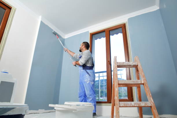 Best Basement Mold Removal  in Weston, WI