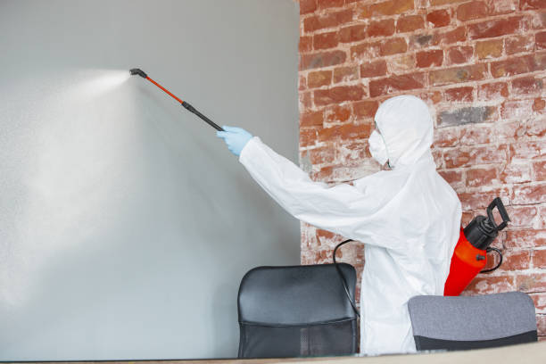 Best Comprehensive Air Testing for Mold Contaminants  in Weston, WI