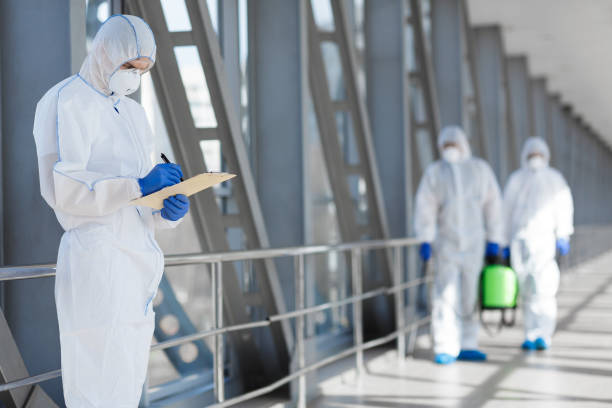 Mold Documentation for Insurance Claims in Weston, WI